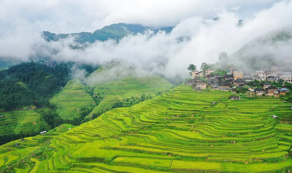 Ruộng bậc thang Jiabang ở Quý Châu