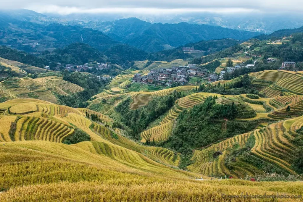 Ruộng bậc thang Longji