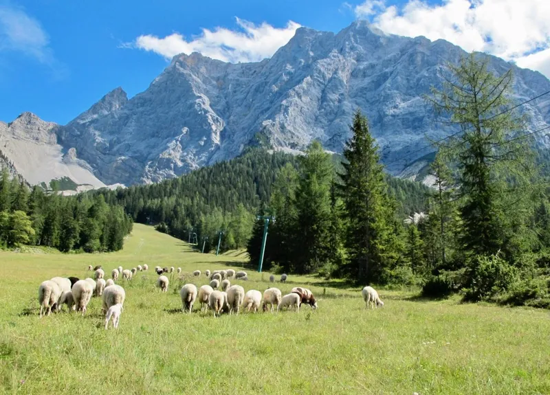 Zugspitze vào mùa hè